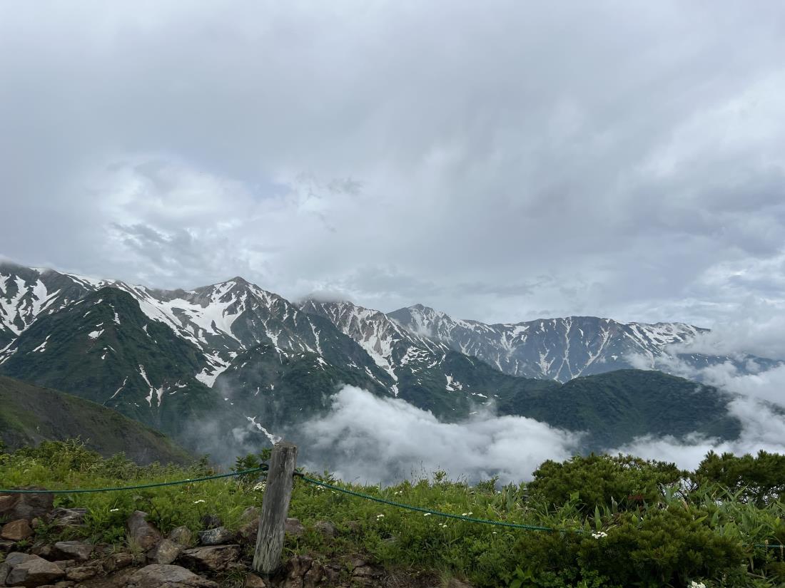 https://cdn.hyecho.com/Editor/front_hcho_77420250717160443.jpg
