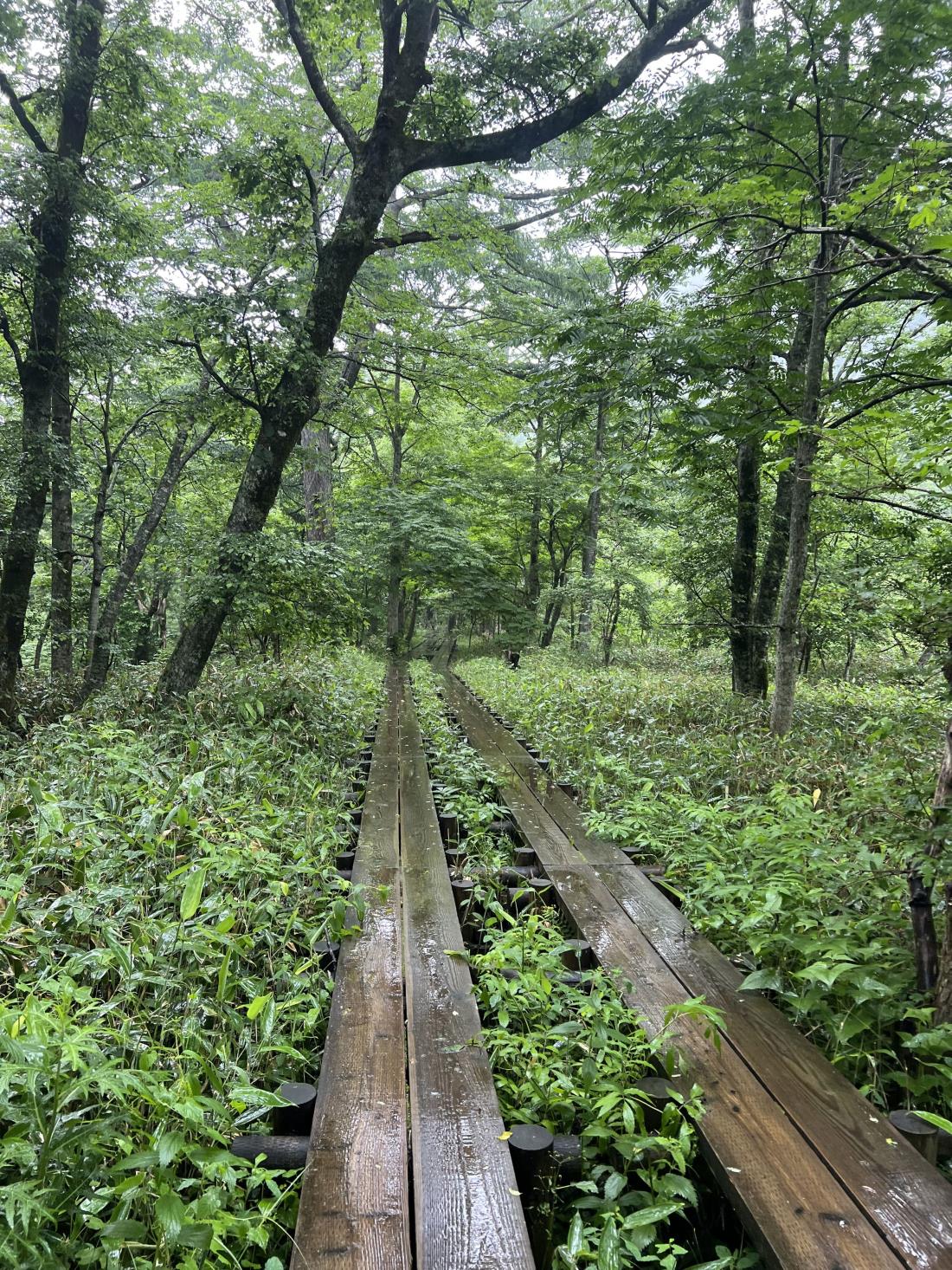 https://cdn.hyecho.com/Editor/front_hcho_77420250717161050.jpg